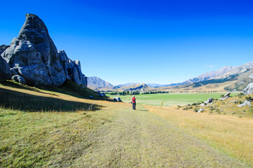 Limestone outcrops on Castle Hill, South Island, New Zealand