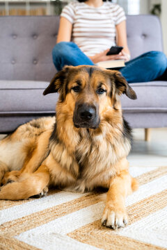 Gloria and Yago the dog
