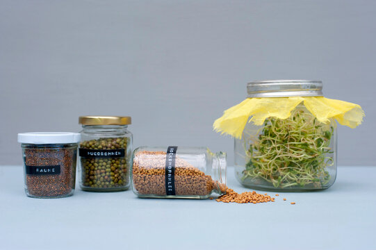 Jars with various seeds, beans and sprouts