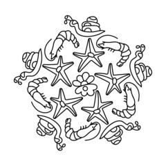 Coloring page mandala with snail, seastar, shrimp, shell.