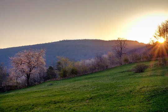 Sunrise, Ehrenberg, Rhoen, Germany