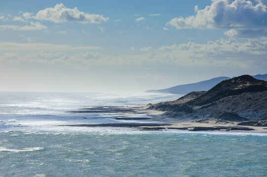 Arai-Te-Uru Recreation Reserve, Hokianga harbour, Westcoast Northland, North Island, New Zealand