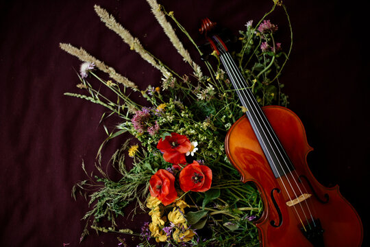 Studio shot of violin leaning on bouquet of blooming wildflowers