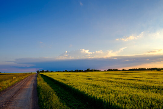 Sunset at Sardal nature reserve, Halland, Sweden