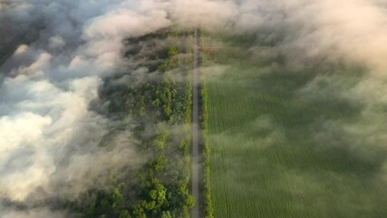 Thick fog in the morning moves over the road passing through the fields. Cinematic aerial shot. 