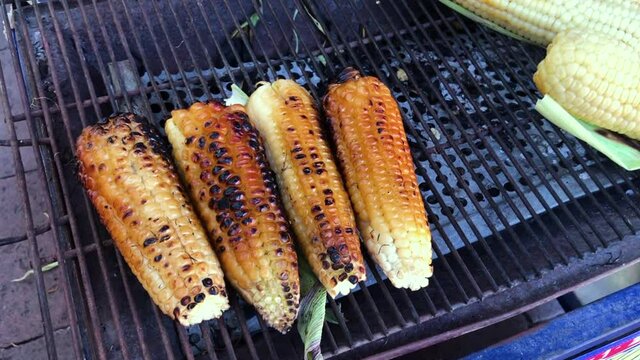 Corn grilling on a hot BBQ grill. Popular healthy Mexican street food called Elote.