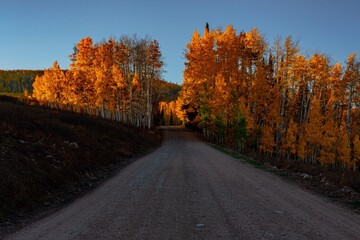 road in autumn