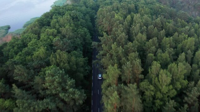 Car driving away in the forest. Kur&scaron;ių nerija, Juodkrantė, Curonian Spit, Lithuania.