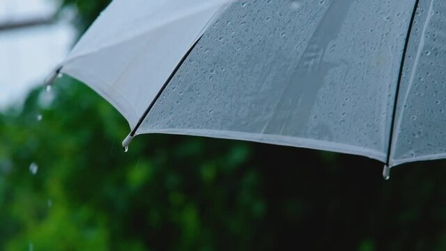 Slow Motion of raindrops falling on white umbrella in rainy season