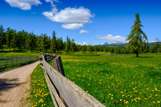 Italy, South Tyrol, Salten, Fences along countryside dirt road cutting through springtime meadow
