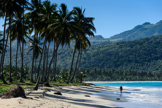 Palm trees growing at beach against mountains, Playa Rincon, Dominican Republic