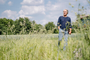 Wrinkled man with laptop walking over grass in agricultural field