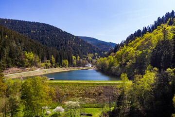 Germany, Lower Saxony, Goslar, Aerial view of Upper Harz Water Regale in spring