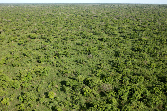 Democratic Republic of Congo, Aerial view of green landscape of Garamba National Park