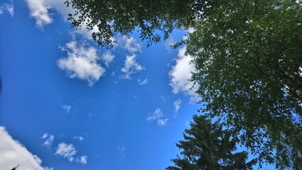 Obraz premium sky and clouds