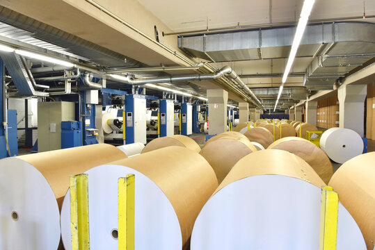 Printing shop: paper rolls at printing presses