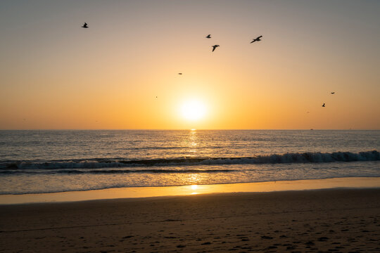 USA, California, Los Angeles, Flock of birds flying over coastal beach of Pacific Ocean at sunset