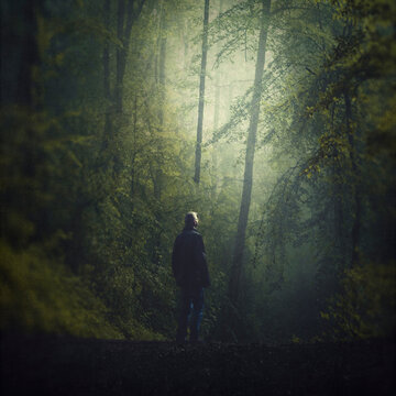 Germany, Wuppertal, Man in foggy forest