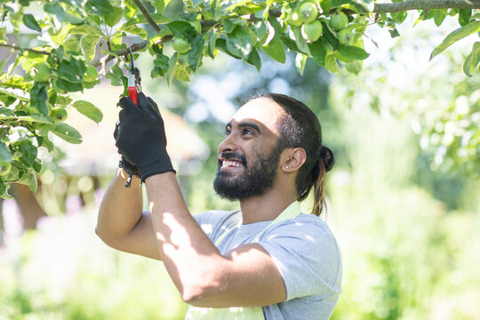 Happy young man pruning twigs of tree