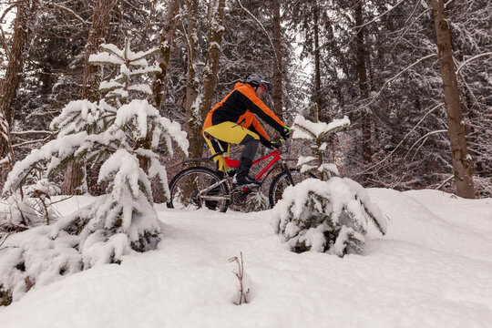 Man riding mountainbike on path in winter forest