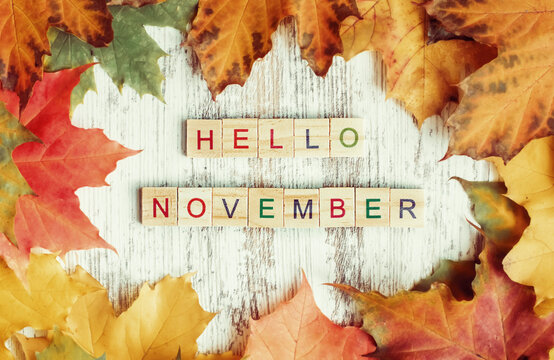 Flatlay, autumn colored maple foliage, "hello november" inscription in wooden letters on the table. Autumn background