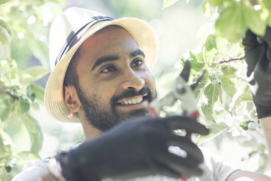 Portrait of bearded young man  pruning twigs of tree