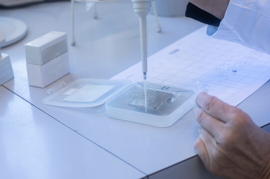 Lab technician preparing sample