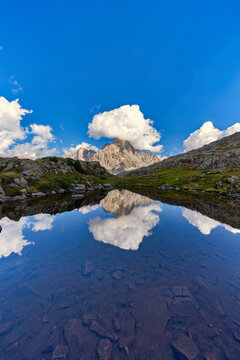 Italy, Veneto, Dolomites, Fiemme Mountains, Cimon della Pala, reflected in a small lake