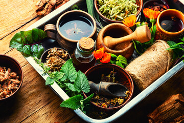 Assortment of medicinal plants in tray