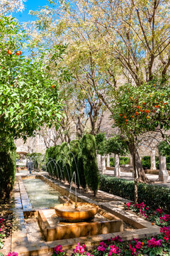 Spain, Mallorca, Palma de Mallorca, Pond and fountain in Jardines SHort Del Rei park