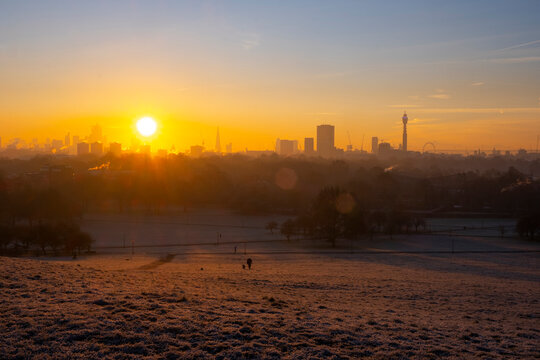 UK, England, London, Regents Park At Winter Sunrise