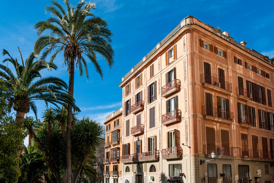 Spain, Mallorca, Palma de Mallorca, Palm trees in front of residential city building