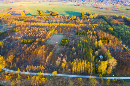 Germany, Augsburg, Inningen, reforestation