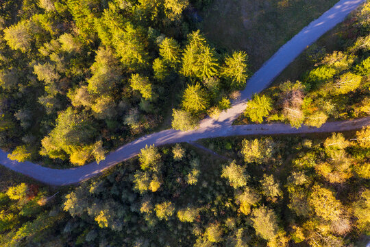 Germany, Upper Bavaria, Aerial view of fork path near Gaissach