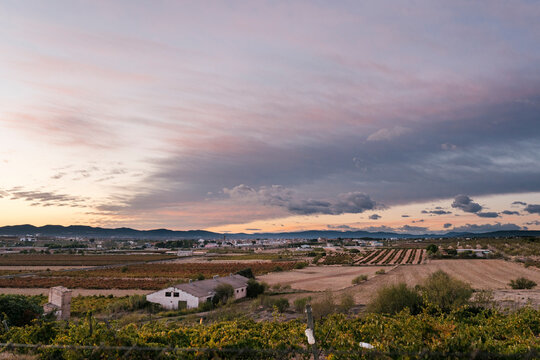 Scenic view of vineyard against sky at sunset