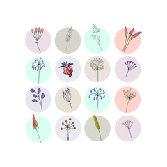 Set of floral icons. Doodle set. 