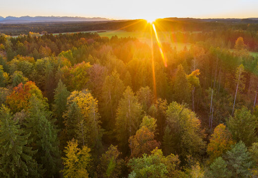 Germany, Bavaria, Upper Bavaria, Toelzer Land, Konigsdorf, Aerial view of Autumn forest at sunset