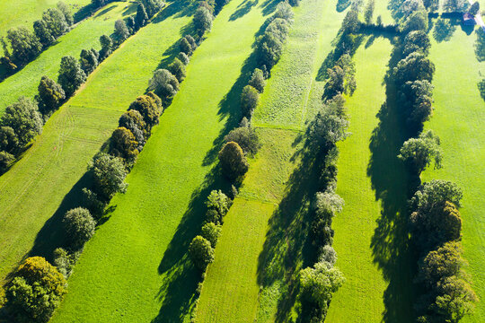 High angle view of Natural monument hedge landscape, Gaissach, Lenggries, Isarwinkel, Upper Bavaria, Bavaria, Germany