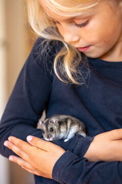 Cute little girl handling hamster with care