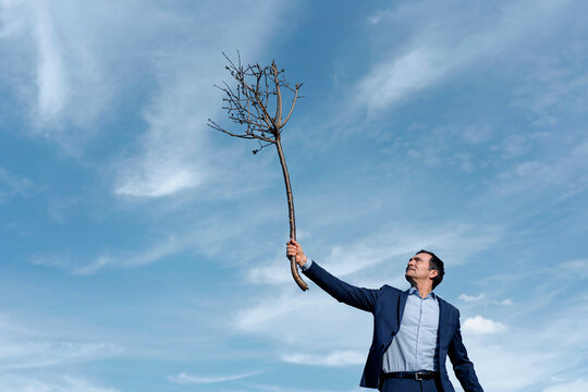 Mature businessman holding up a bare tree