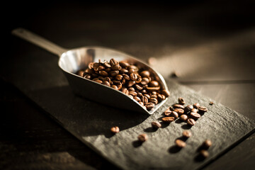 Scoop of roasted coffee beans