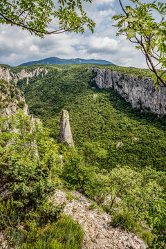 Lime columns in Vela Draga Canyon, Ucka Nature Park, Istria, Croatia