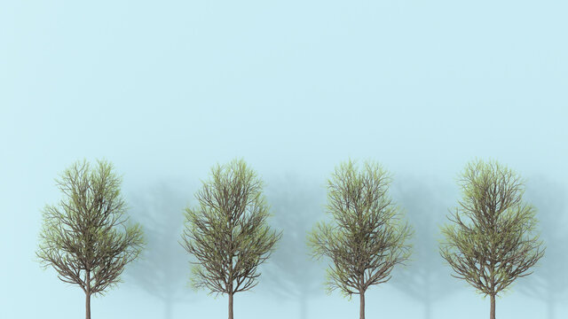 3D rendering, Row of bare trees