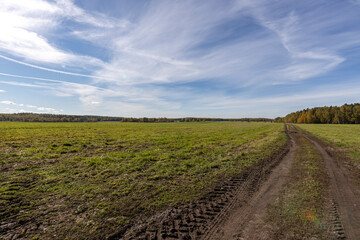 Dirt road through the green field to the horizon. Farming landscape with clear blue sky. Panoramic picture with country road.