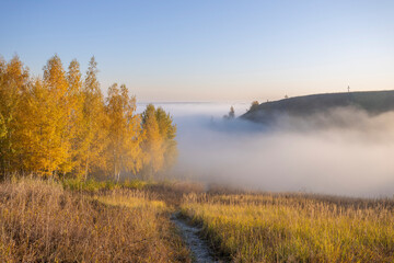 Fototapeta na wymiar Autumn landscape with early morning fog. Birch trees with bright yellow foliage illuminated by the sun. Trees and hills in the fog. Dawn on a cold autumn morning.