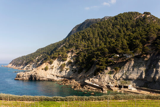 View to the coast, Cala Banyalbufar, Mallorca, Spain