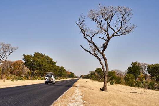 Car moving on road against clear sky at Caprivi strip, Namibia