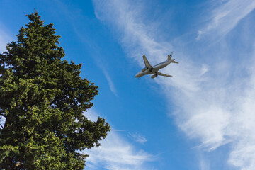 Fototapeta na wymiar the plane takes off against the blue sky