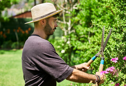 Man Pruning A Bush In The Garden