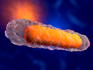 3D rendered illustration of a generic bacteria